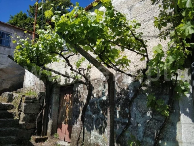 Moradia T1 para Venda em Santa Cruz do Douro e São Tomé de Covelas Foto 3