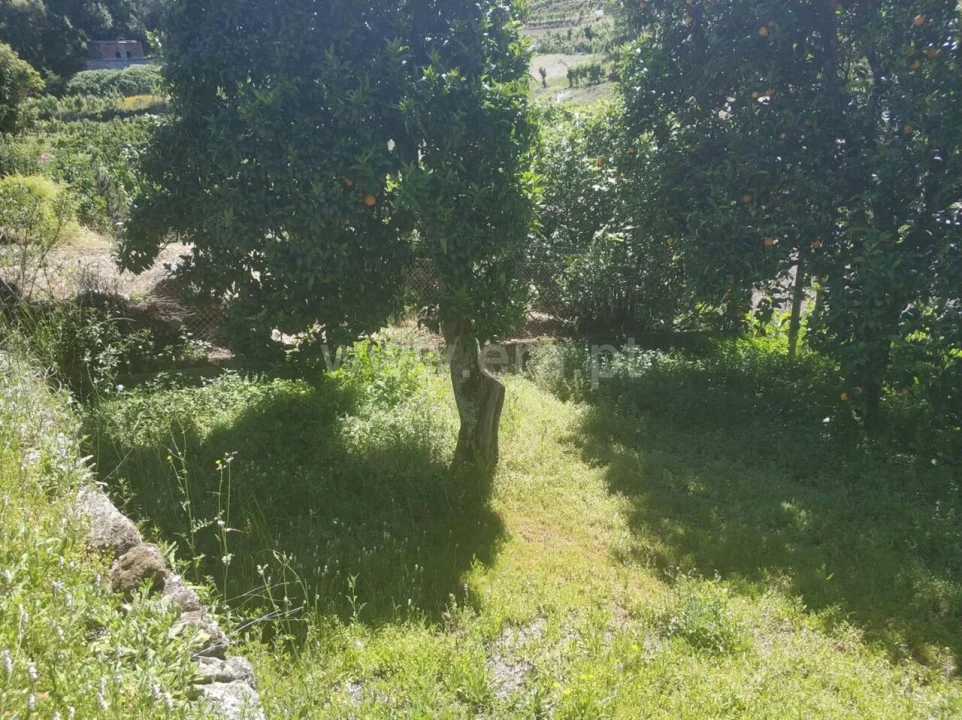 Moradia T1 para Venda em Santa Cruz do Douro e São Tomé de Covelas Foto 5