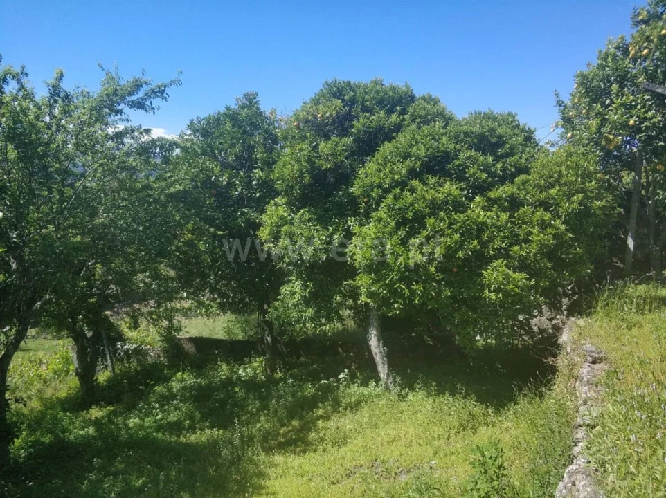 Moradia T1 para Venda em Santa Cruz do Douro e São Tomé de Covelas Foto 9