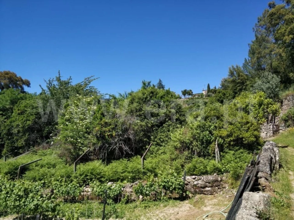 Terreno para Venda em Santa Cruz do Douro e São Tomé de Covelas Foto 1