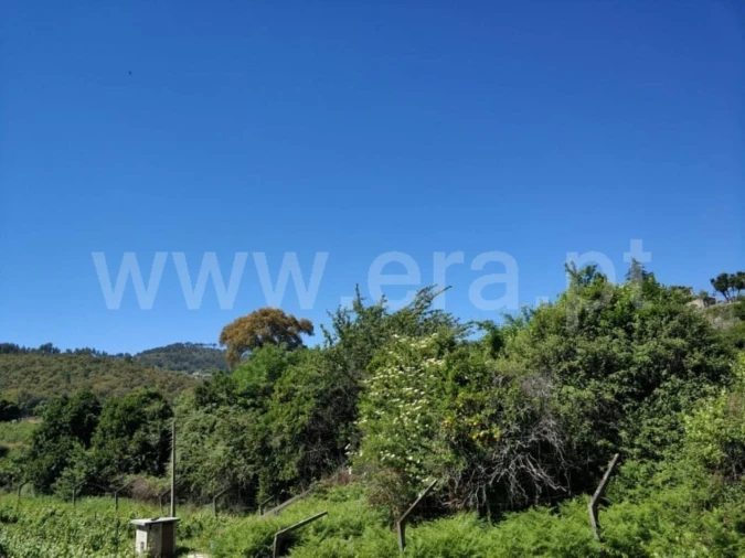 Terreno para Venda em Santa Cruz do Douro e São Tomé de Covelas Foto 2