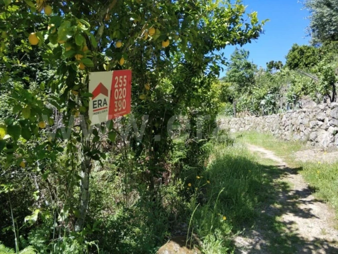 Terreno para Venda em Santa Cruz do Douro e São Tomé de Covelas Foto 3