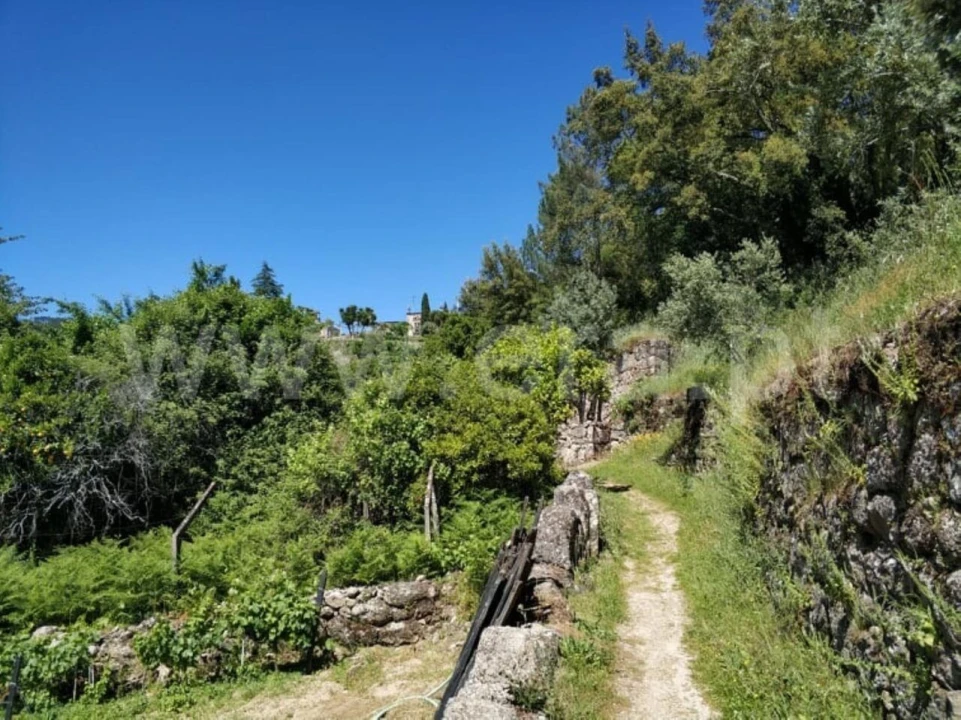 Terreno para Venda em Santa Cruz do Douro e São Tomé de Covelas Foto 5
