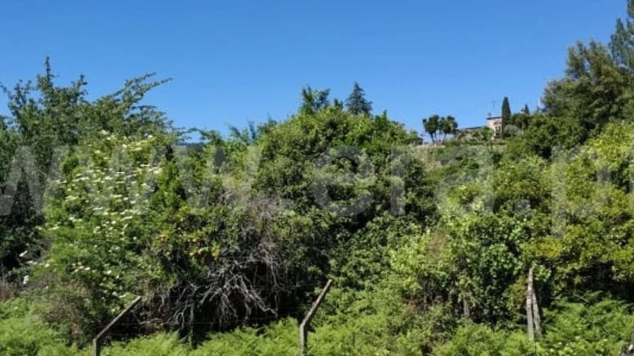 Terreno para Venda em Santa Cruz do Douro e São Tomé de Covelas