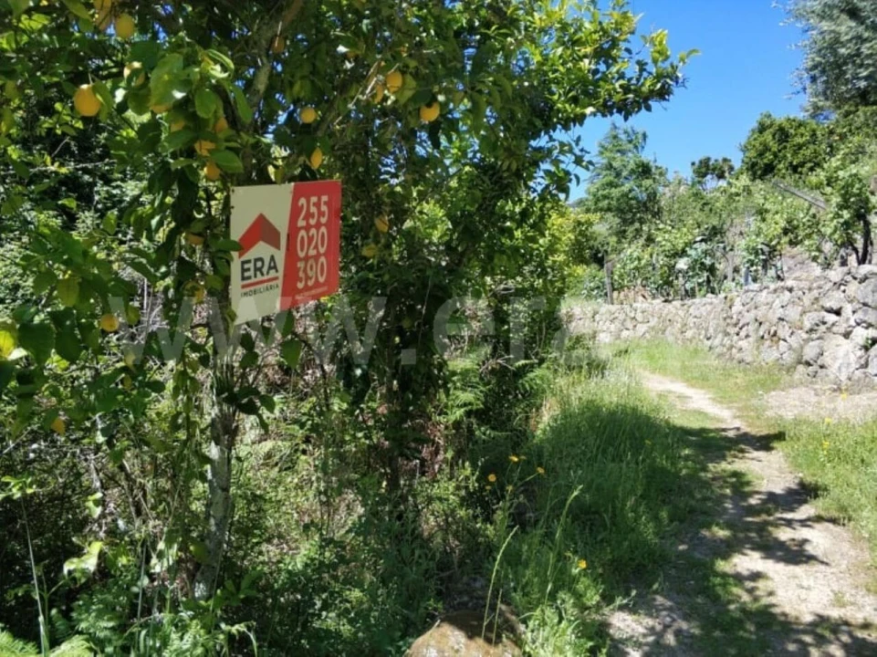 Terreno para Venda em Santa Cruz do Douro e São Tomé de Covelas Foto 3