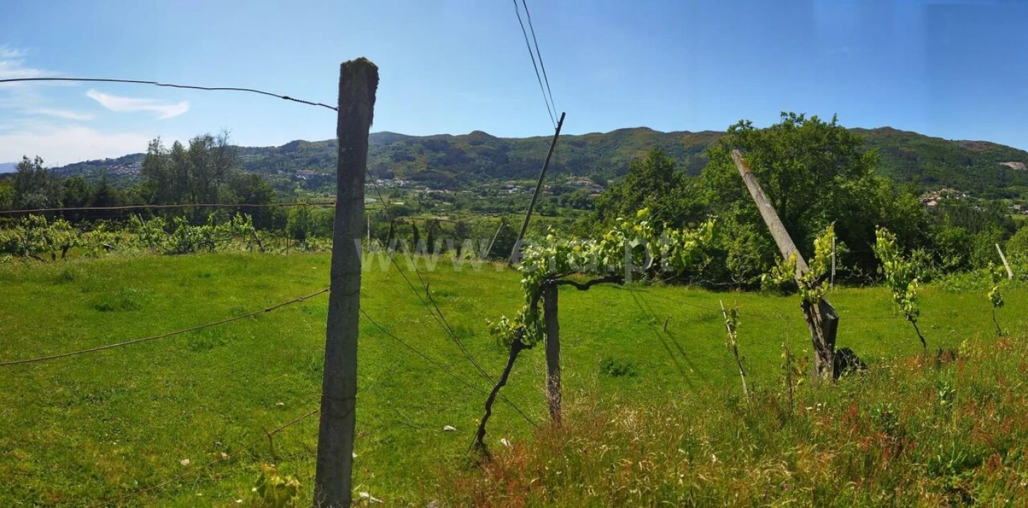 Terreno para Venda em Campelo e Ovil Foto 6