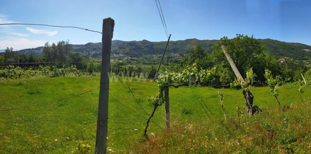 Terreno para Venda em Campelo e Ovil Foto 6