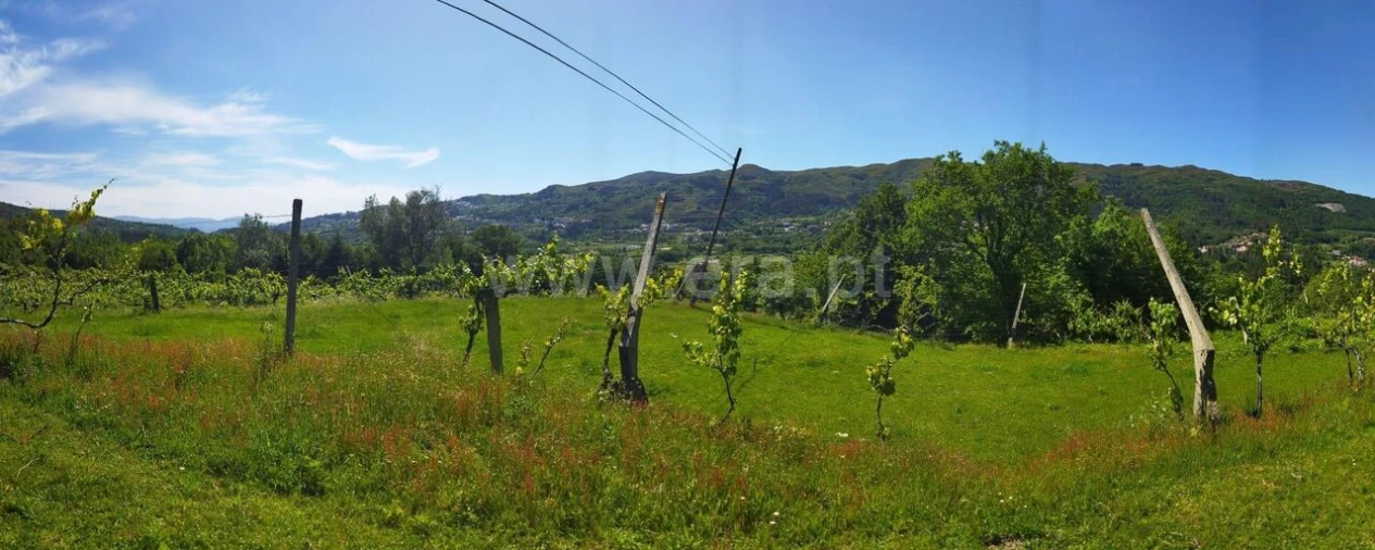 Terreno para Venda em Campelo e Ovil Foto 3