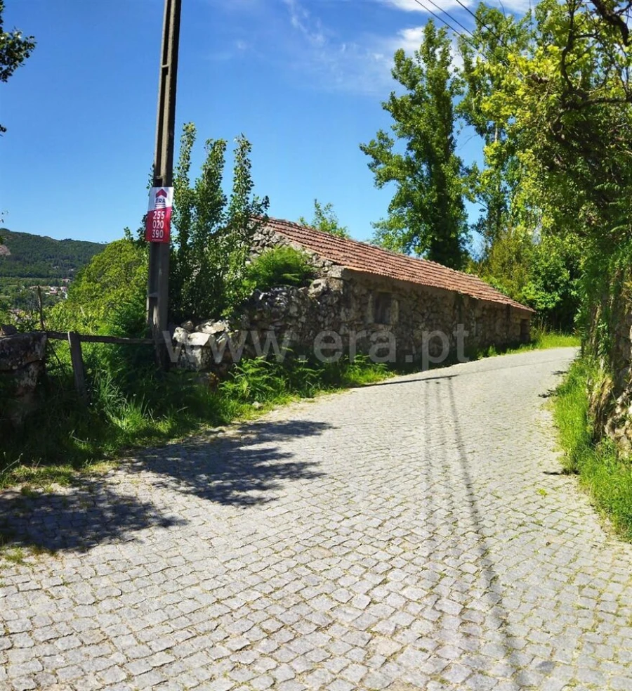 Terreno para Venda em Campelo e Ovil Foto 4