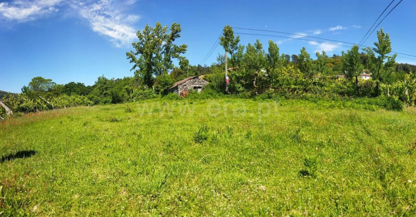 Terreno para Venda em Campelo e Ovil Foto 1