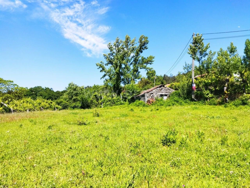 Terreno para Venda em Campelo e Ovil Foto 5