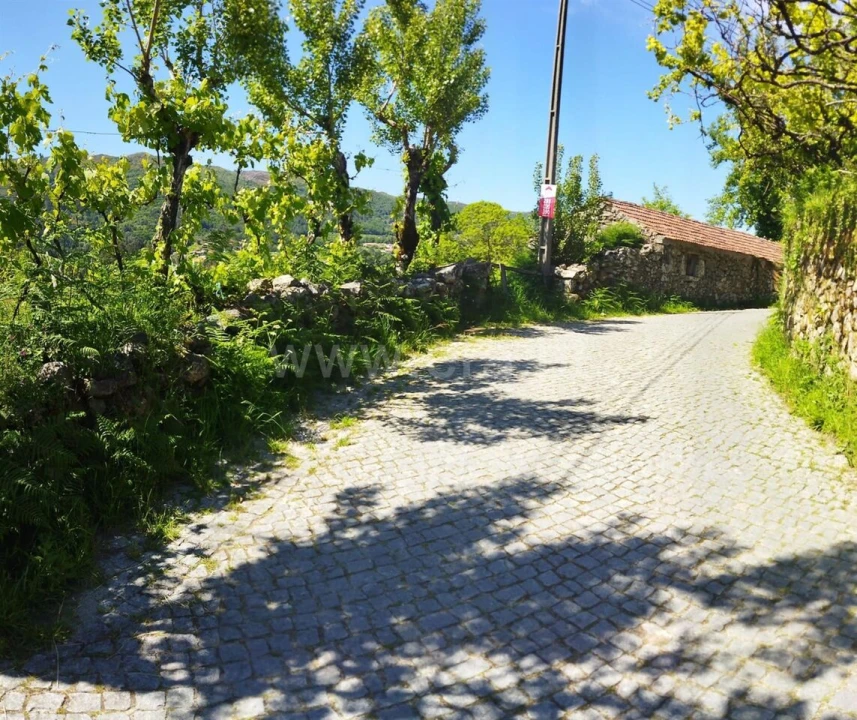 Terreno para Venda em Campelo e Ovil Foto 2