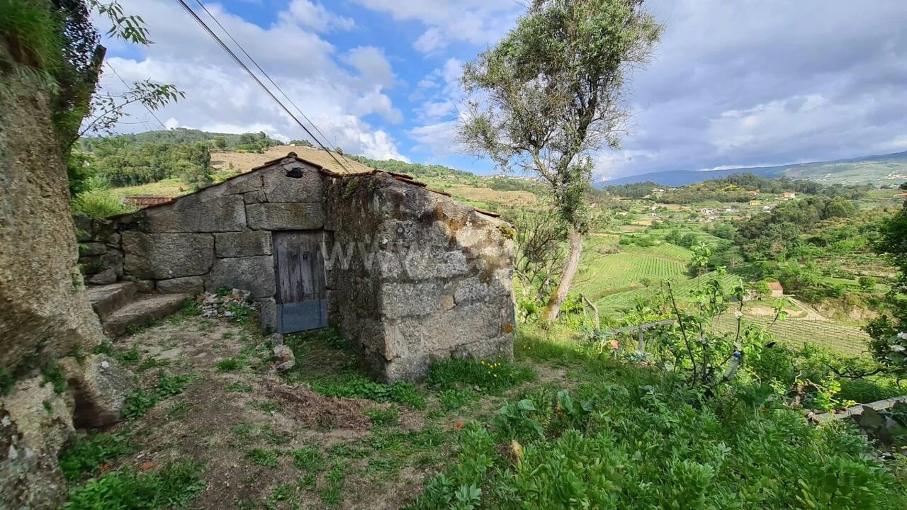 Quinta T0 para Venda em Santa Cruz do Douro e São Tomé de Covelas Foto 5