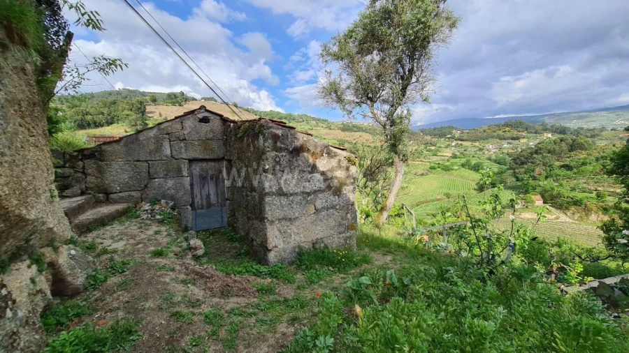 Quinta T0 para Venda em Santa Cruz do Douro e São Tomé de Covelas Foto 5