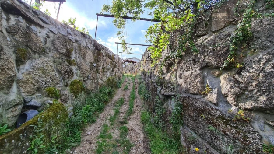 Quinta T0 para Venda em Santa Cruz do Douro e São Tomé de Covelas Foto 3