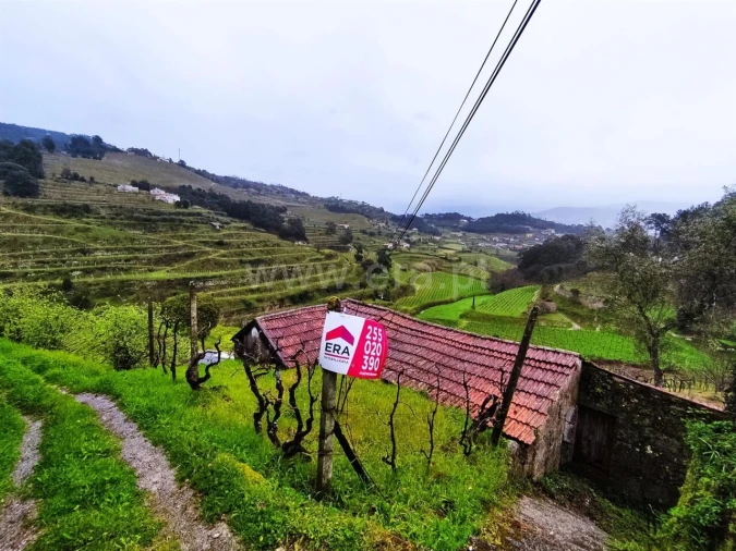 Quinta T0 para Venda em Santa Cruz do Douro e São Tomé de Covelas Foto 1