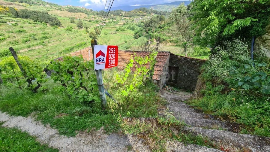 Quinta T0 para Venda em Santa Cruz do Douro e São Tomé de Covelas Foto 2