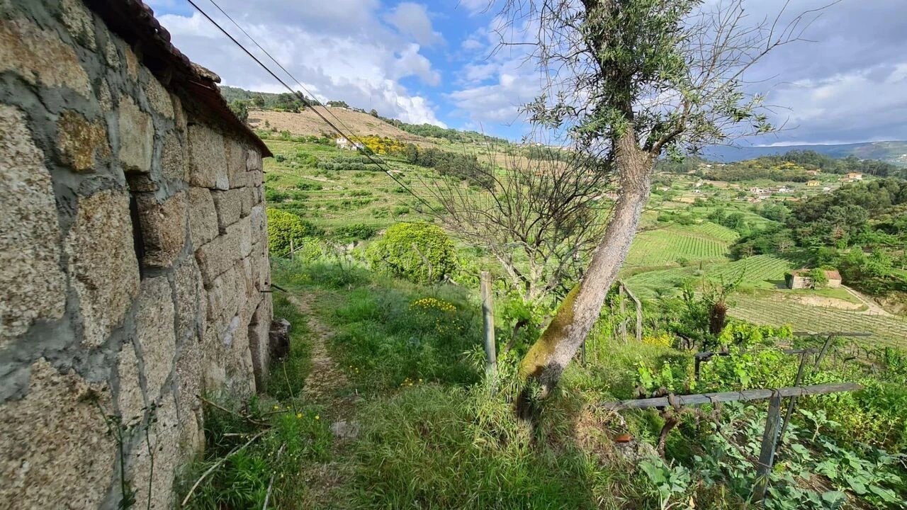 Quinta T0 para Venda em Santa Cruz do Douro e São Tomé de Covelas Foto 4