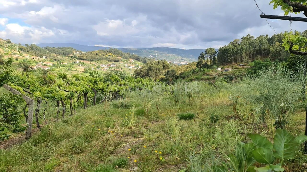 Quinta T0 para Venda em Santa Cruz do Douro e São Tomé de Covelas Foto 7