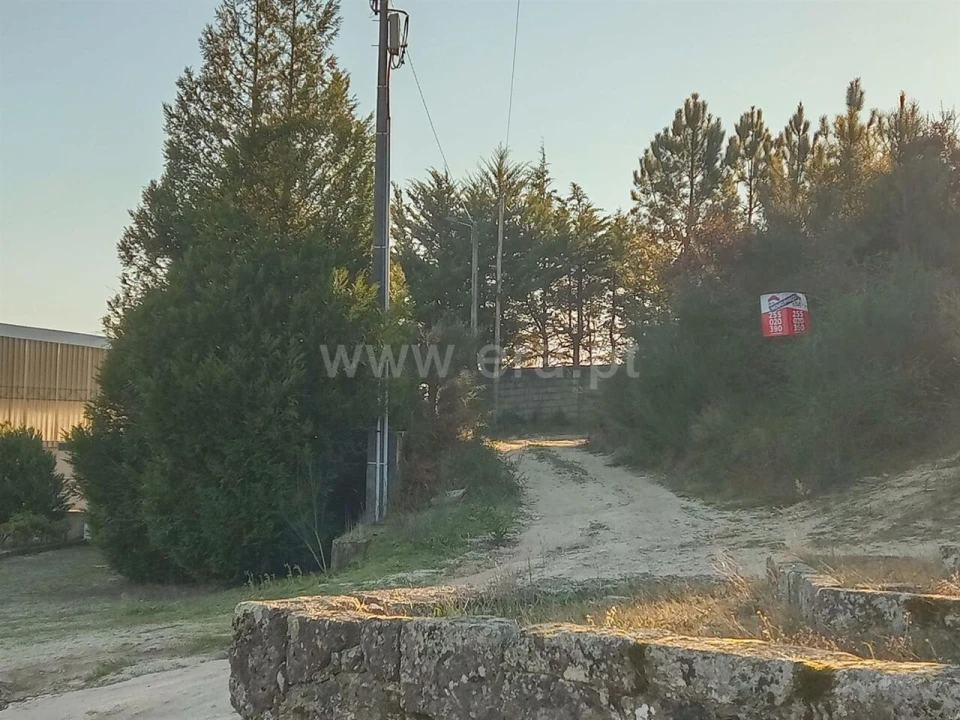 Terreno para Venda em Santa Cruz do Douro e São Tomé de Covelas Foto 1