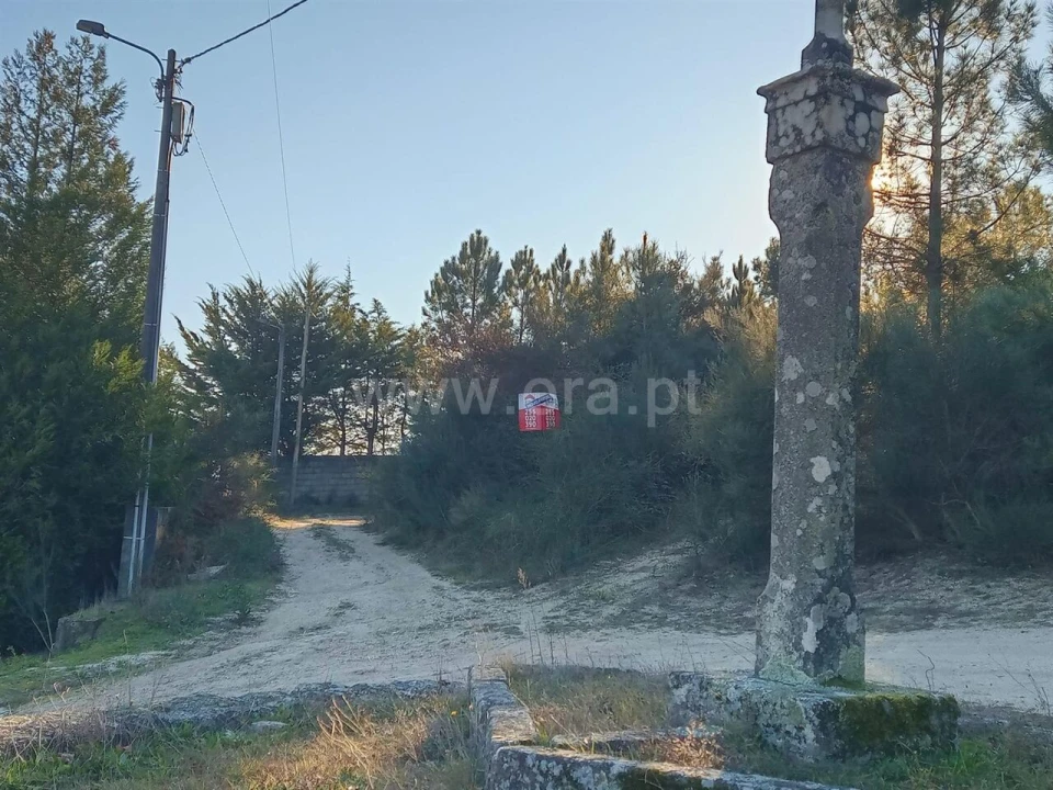 Terreno para Venda em Santa Cruz do Douro e São Tomé de Covelas Foto 4