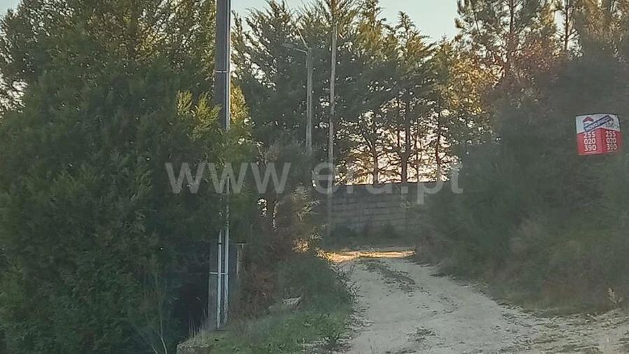 Terreno para Venda em Santa Cruz do Douro e São Tomé de Covelas