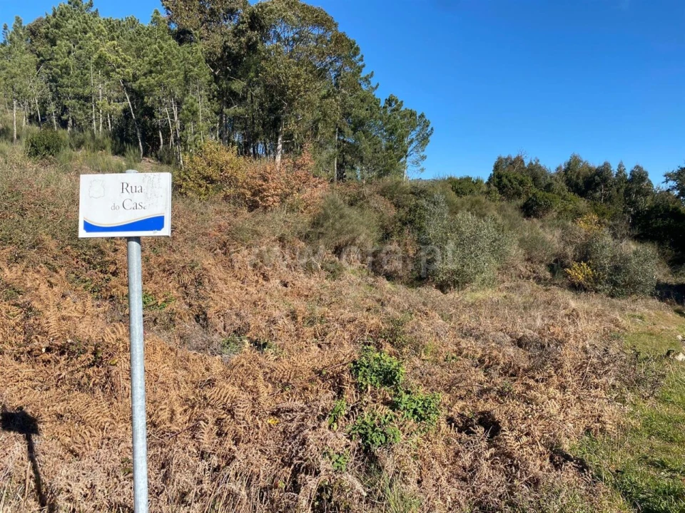 Terreno para Venda em Ancede e Ribadouro Foto 7