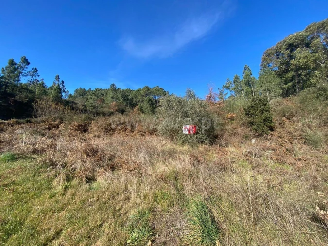 Terreno para Venda em Ancede e Ribadouro Foto 5