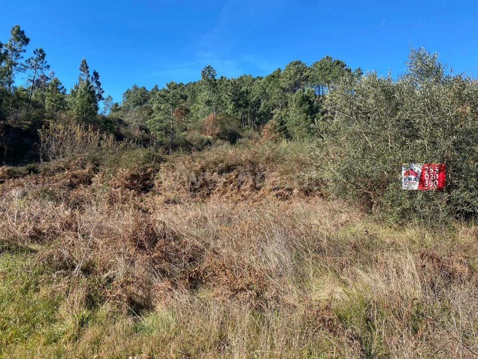 Terreno para Venda em Ancede e Ribadouro Foto 4