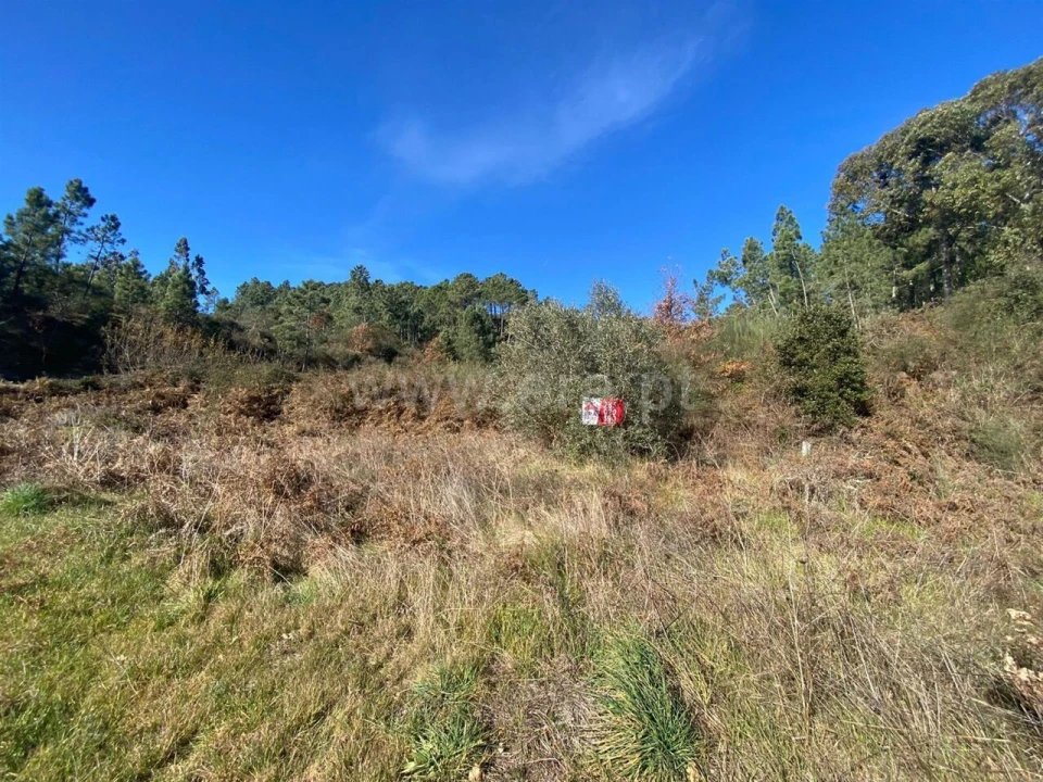 Terreno para Venda em Ancede e Ribadouro Foto 5