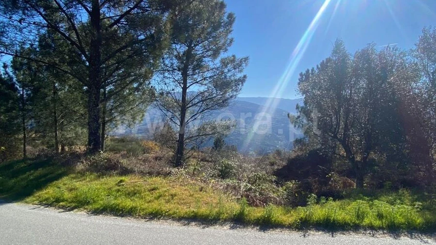 Terreno para Venda em Ancede e Ribadouro