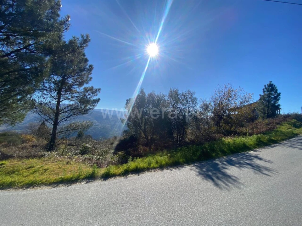 Terreno para Venda em Ancede e Ribadouro Foto 6