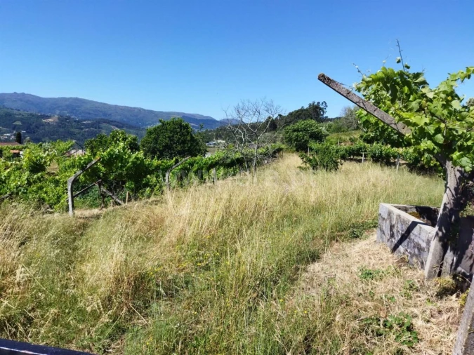 Terreno para Venda em Ancede e Ribadouro Foto 5