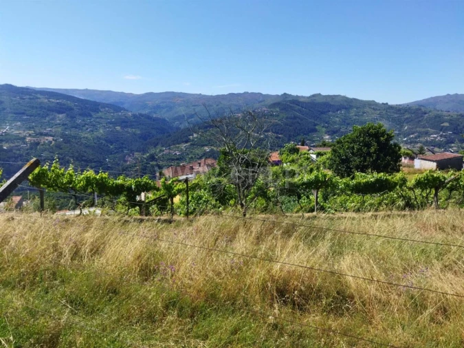 Terreno para Venda em Ancede e Ribadouro Foto 6