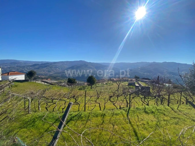 Terreno para Venda em Ancede e Ribadouro Foto 9