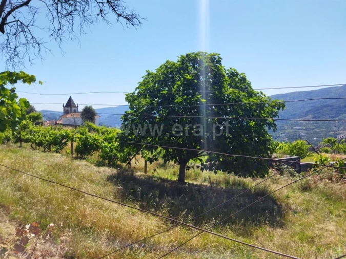 Terreno para Venda em Ancede e Ribadouro Foto 4
