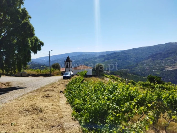 Terreno para Venda em Ancede e Ribadouro