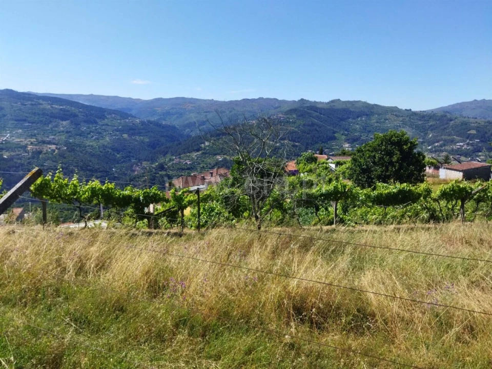 Terreno para Venda em Ancede e Ribadouro Foto 6