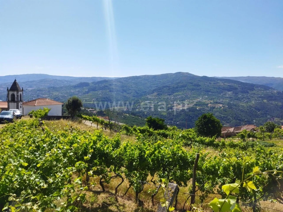 Terreno para Venda em Ancede e Ribadouro Foto 3