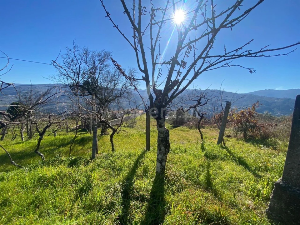 Terreno para Venda em Ancede e Ribadouro Foto 8