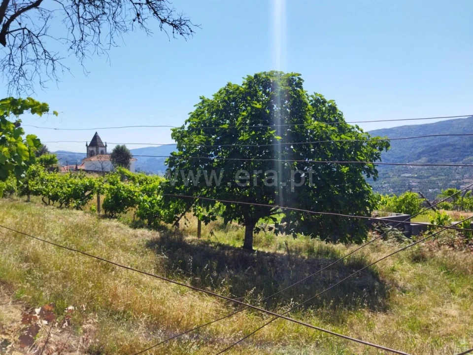 Terreno para Venda em Ancede e Ribadouro Foto 4