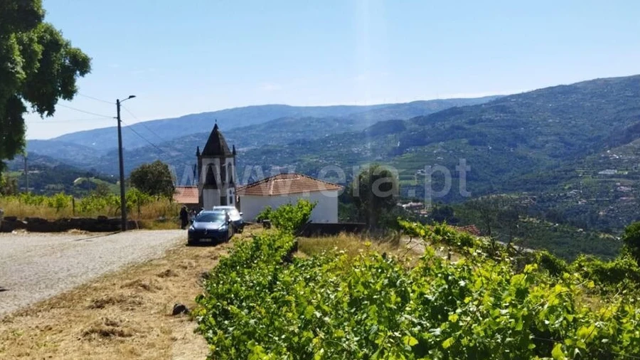 Terreno para Venda em Ancede e Ribadouro