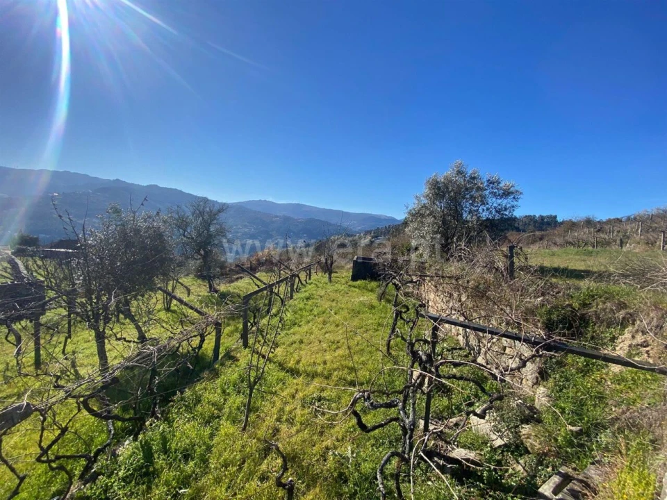 Terreno para Venda em Ancede e Ribadouro Foto 10