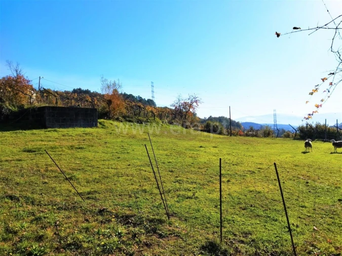 Terreno para Venda em Campelo e Ovil Foto 7