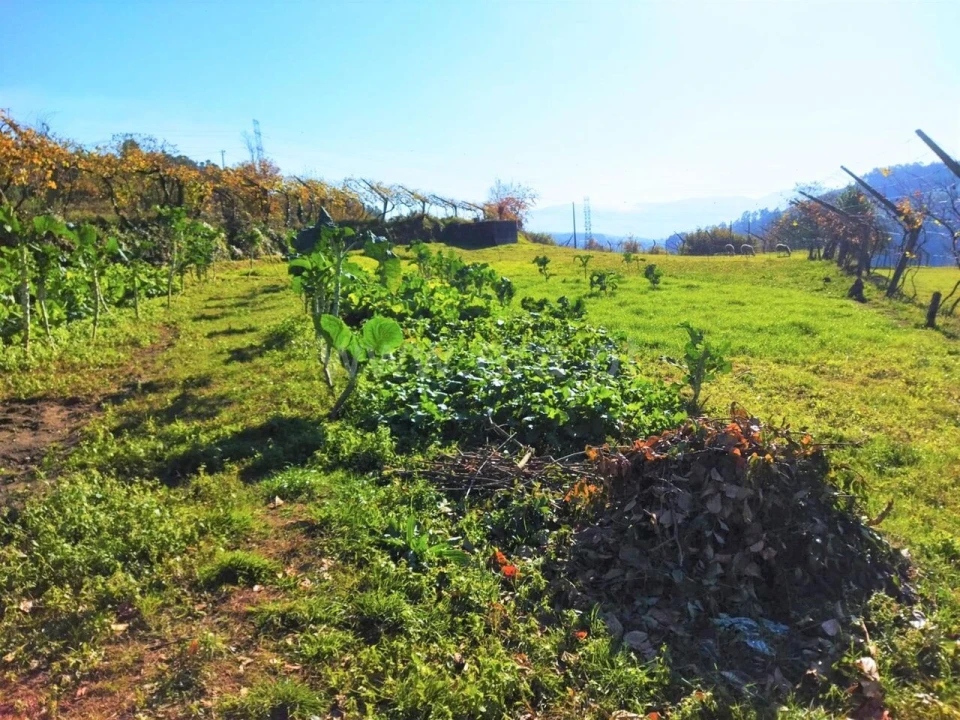 Terreno para Venda em Campelo e Ovil Foto 6