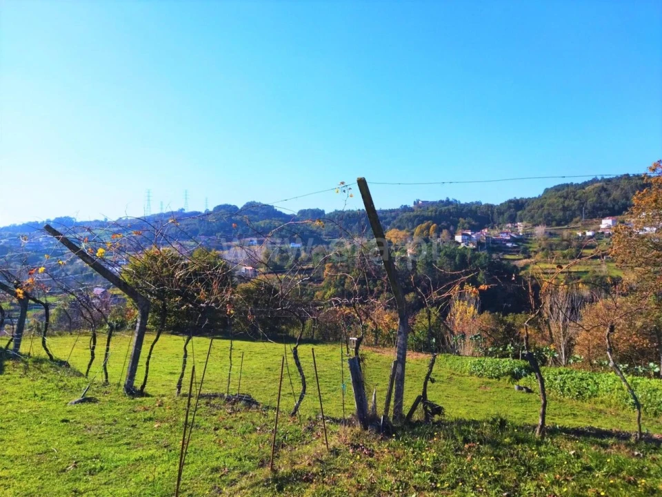 Terreno para Venda em Campelo e Ovil Foto 3