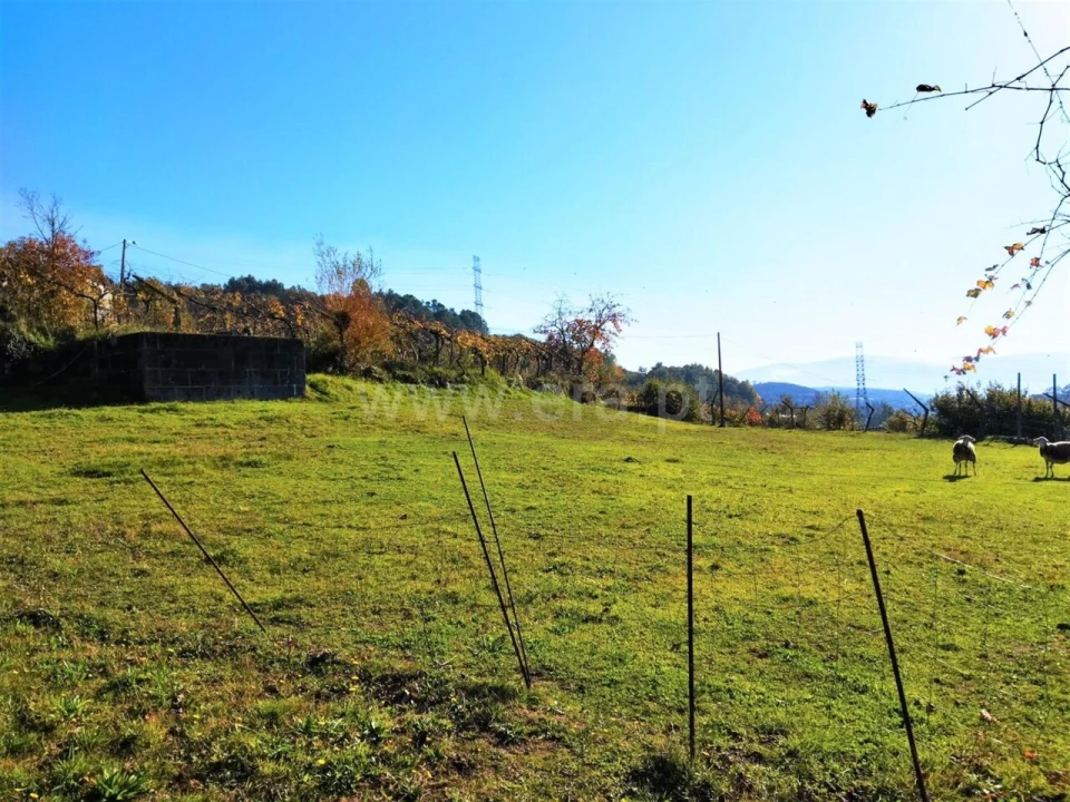 Terreno para Venda em Campelo e Ovil Foto 7
