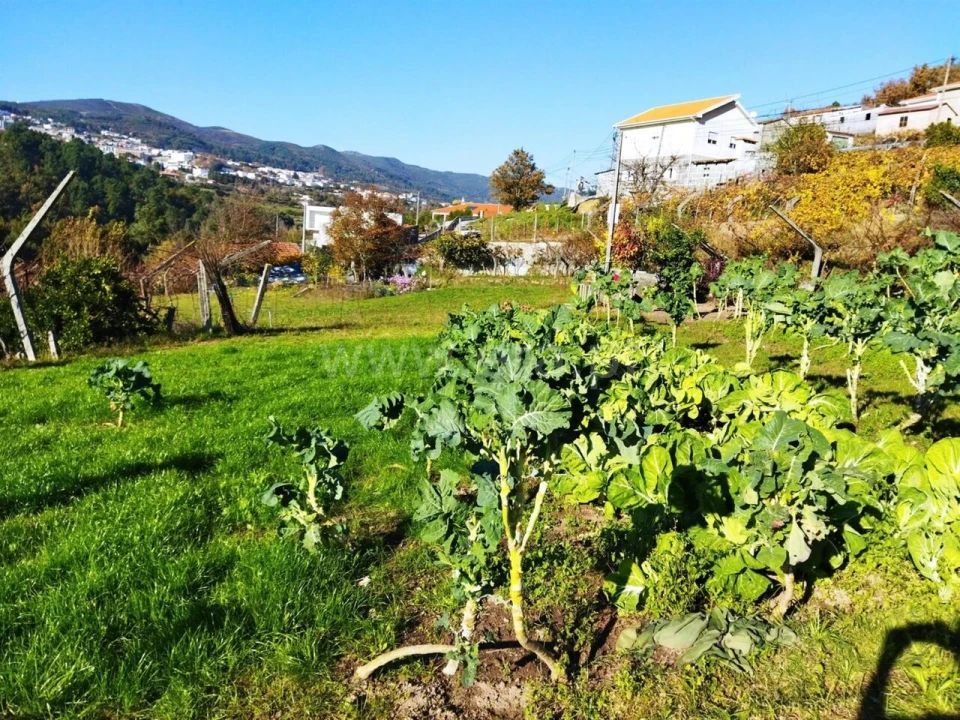 Terreno para Venda em Campelo e Ovil Foto 2