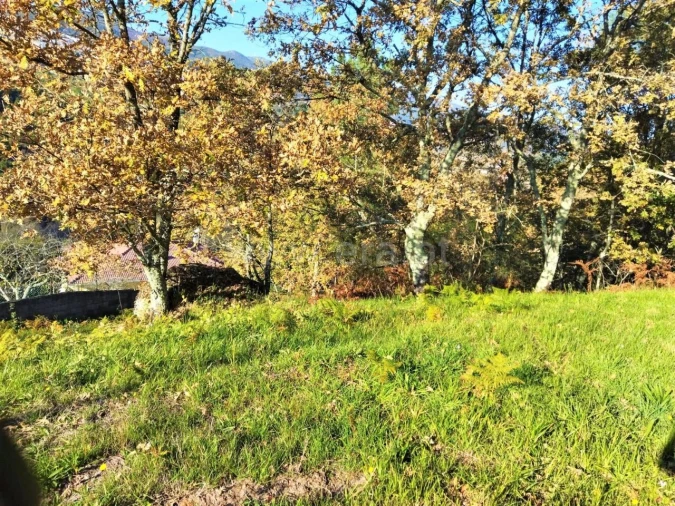 Terreno para Venda em Campelo e Ovil Foto 2