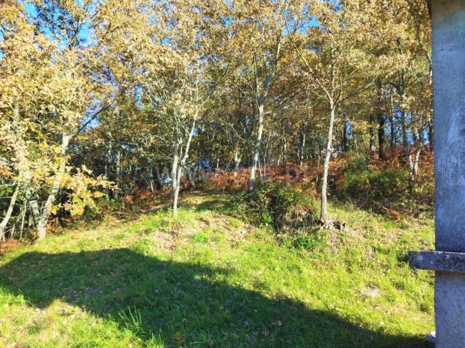 Terreno para Venda em Campelo e Ovil Foto 4